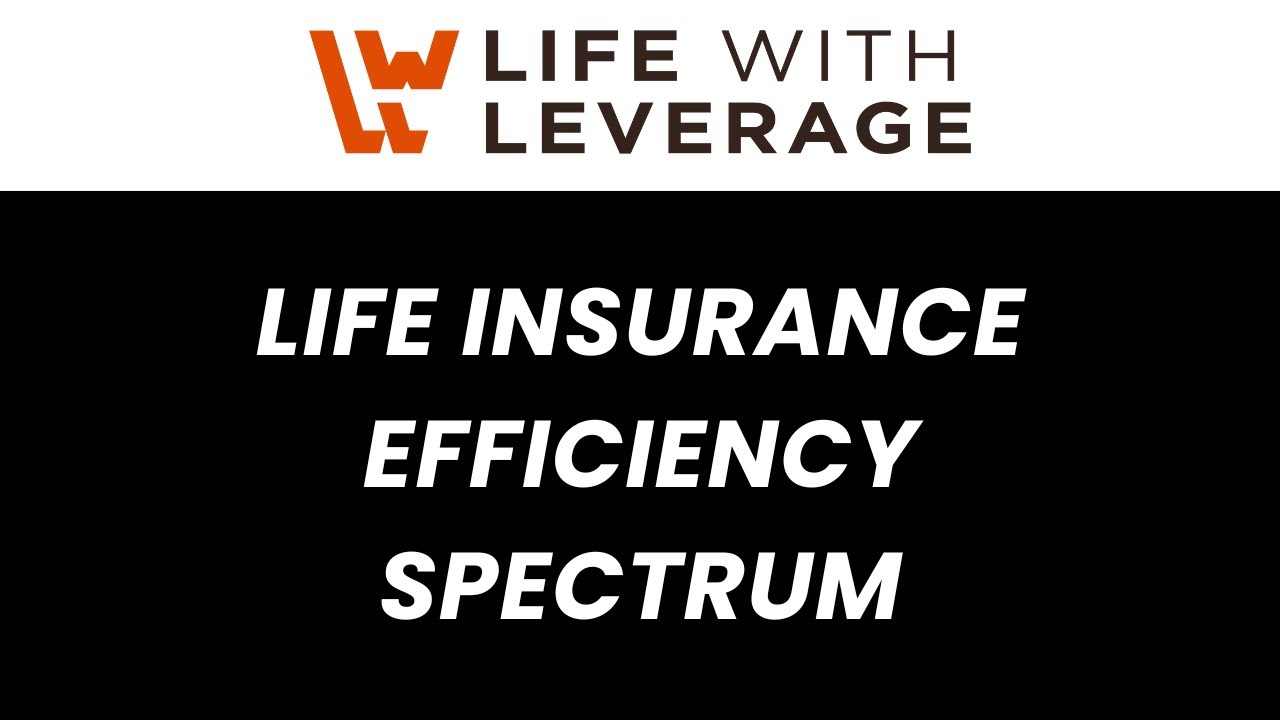 Life Insurance Efficiency Spectrum