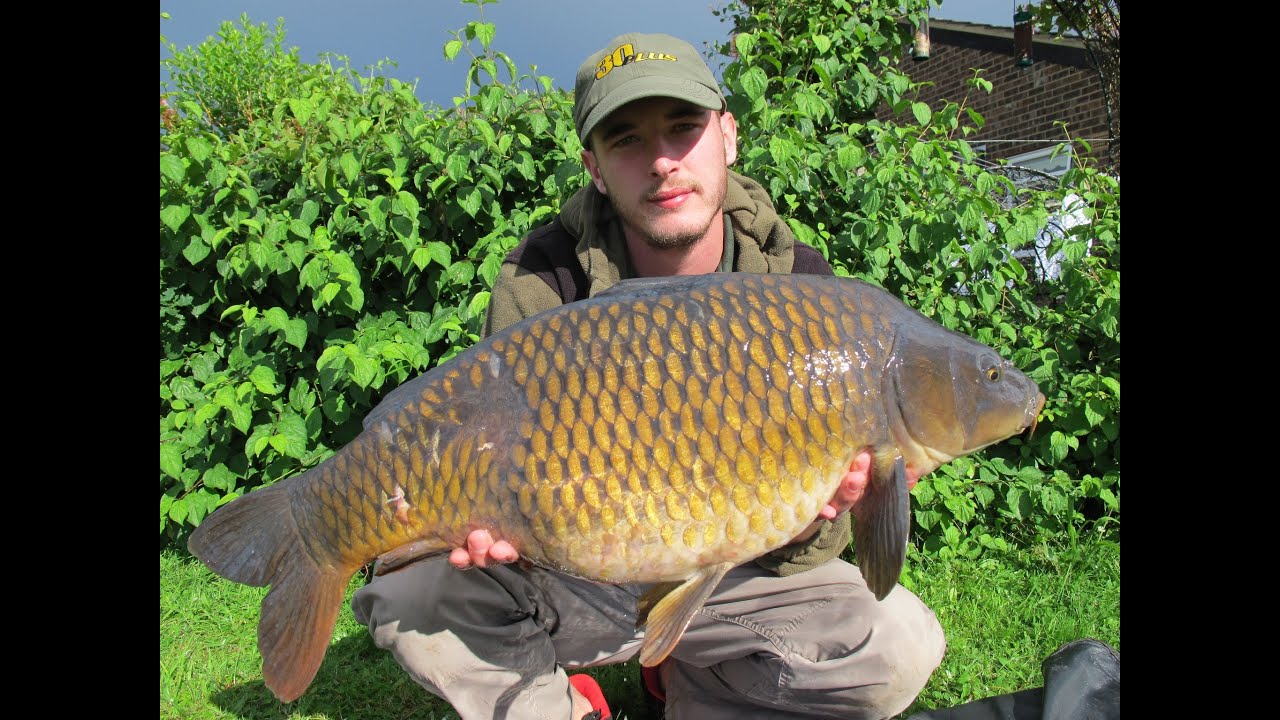 Day Ticket Carp Fishing Tactics At Willow Park Fishery