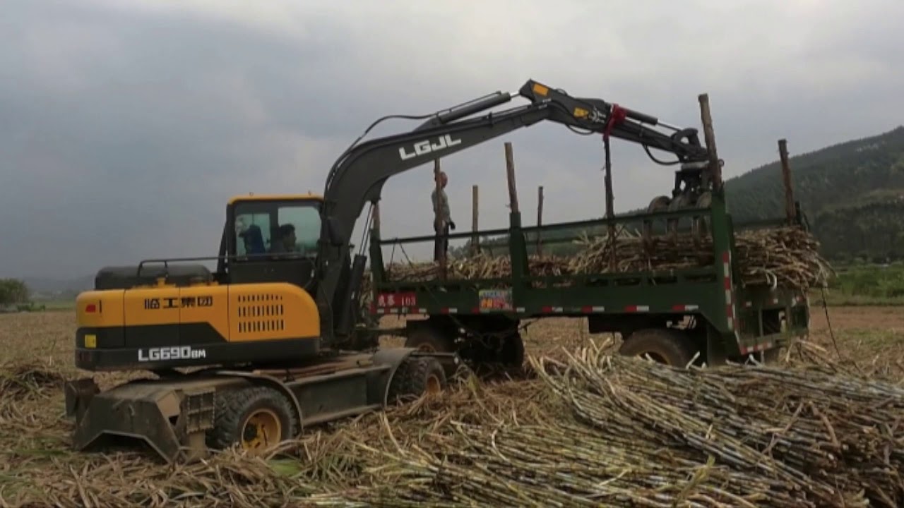 wood log clamp machine wheel loader clamp