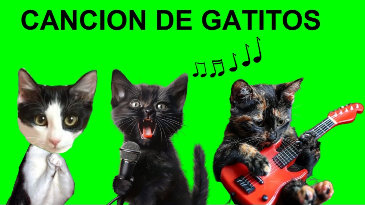 La canci&oacute;n de los 4 gatitos Luna y Estrella Nata y Chocolate #2 / Canciones divertidas en espa&ntilde;ol