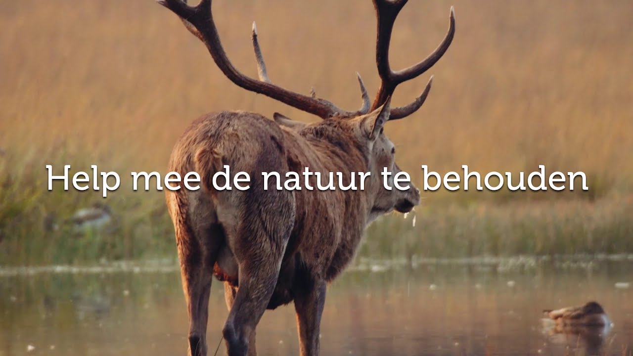 Geldersch Landschap & Kasteelen behoudt natuur