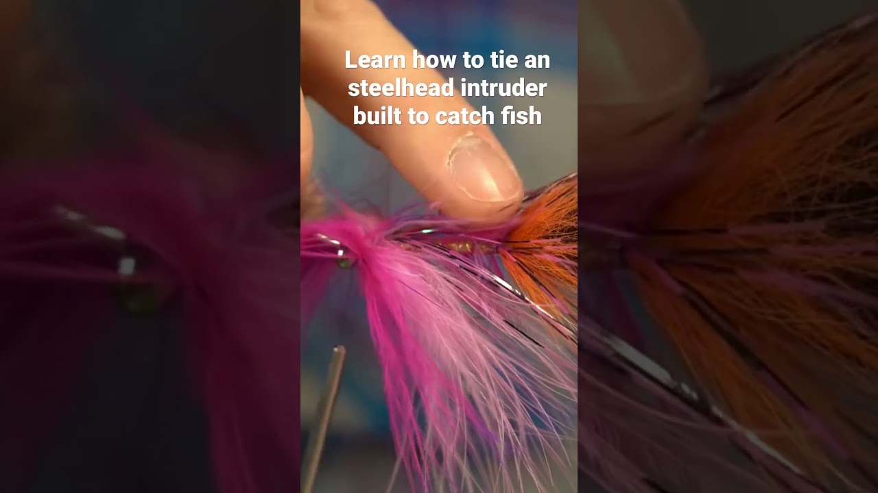 Tying an intruder fly for #steelhead - thought on fly construction #flytying #shorts #fishing