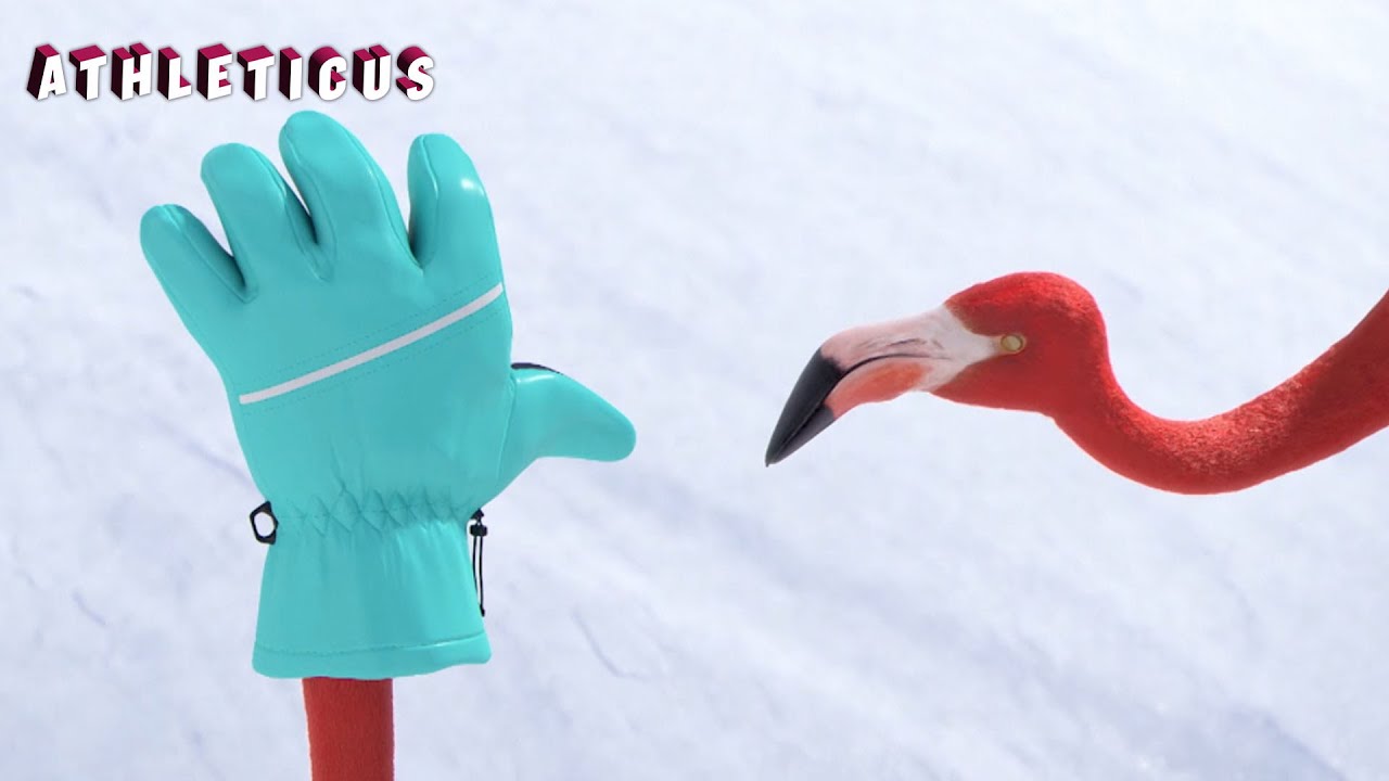 SKI FOR DUMMIES 🦩 ATHLETICUS |  Cartoon in English