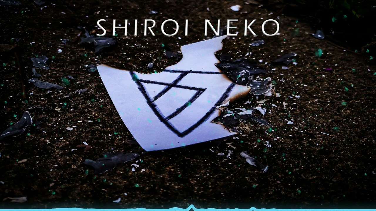 Davsky - Shiroi Neko