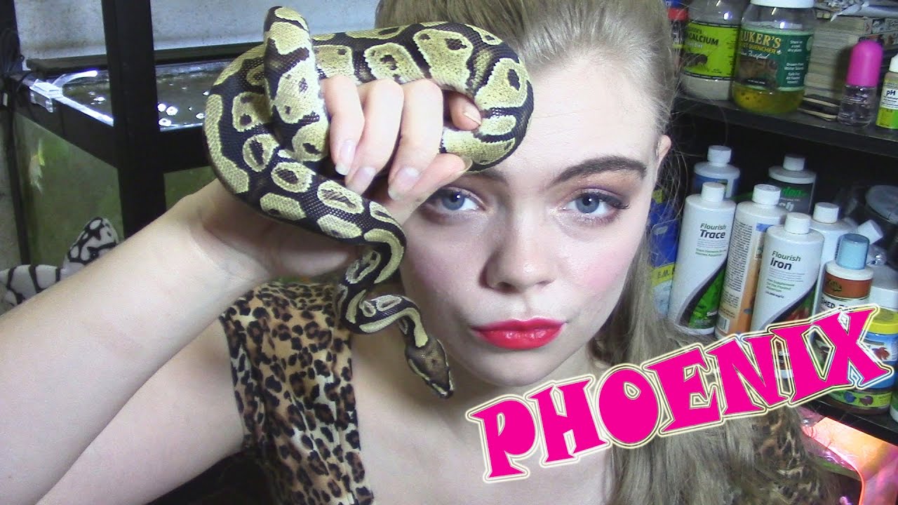 MEET MY PETS: PHOENIX
