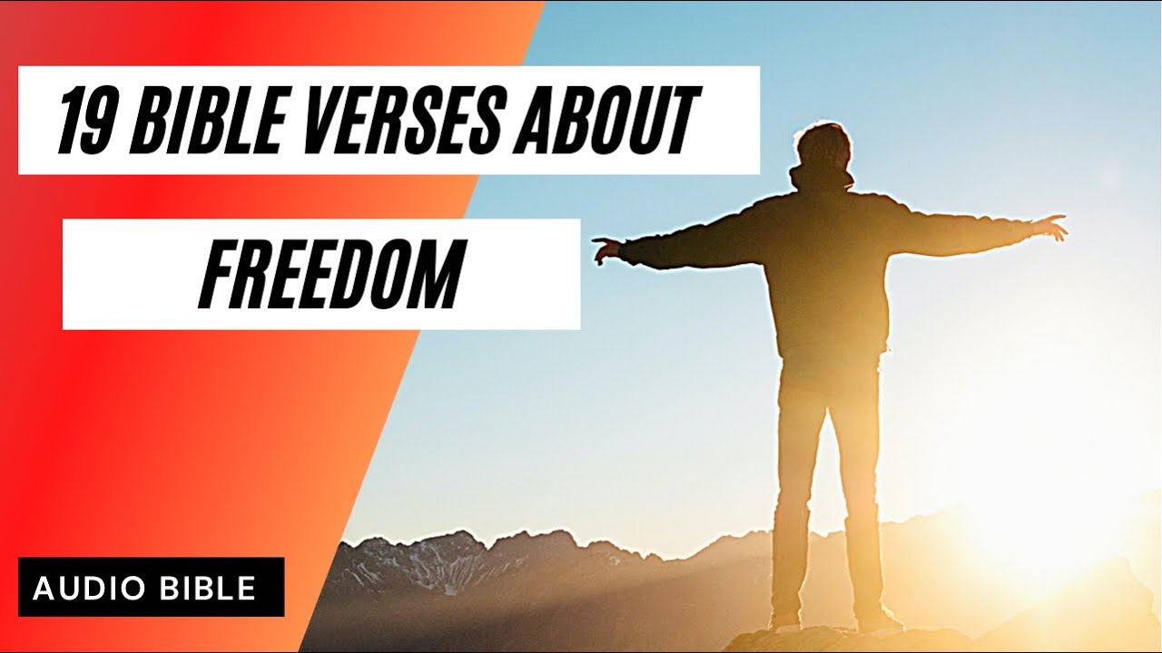 🙏🏼 Bible verses about FREEDOM 🙌 | (Audio Bible)📖