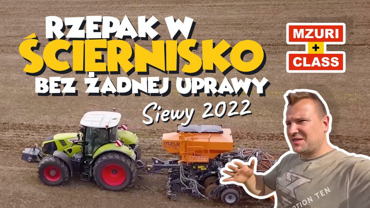 RZEPAK W SCIERNISKO BEZ ŻADNEJ UPRAWY - SIEWY 2022 (MZURI,CLAAS)