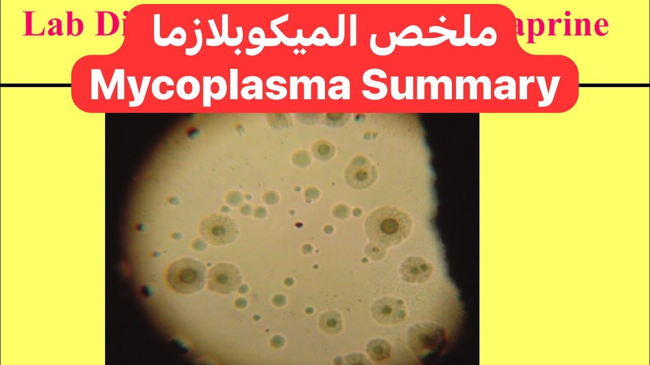 ملخص الميكوبلازما Mycoplasma Summary