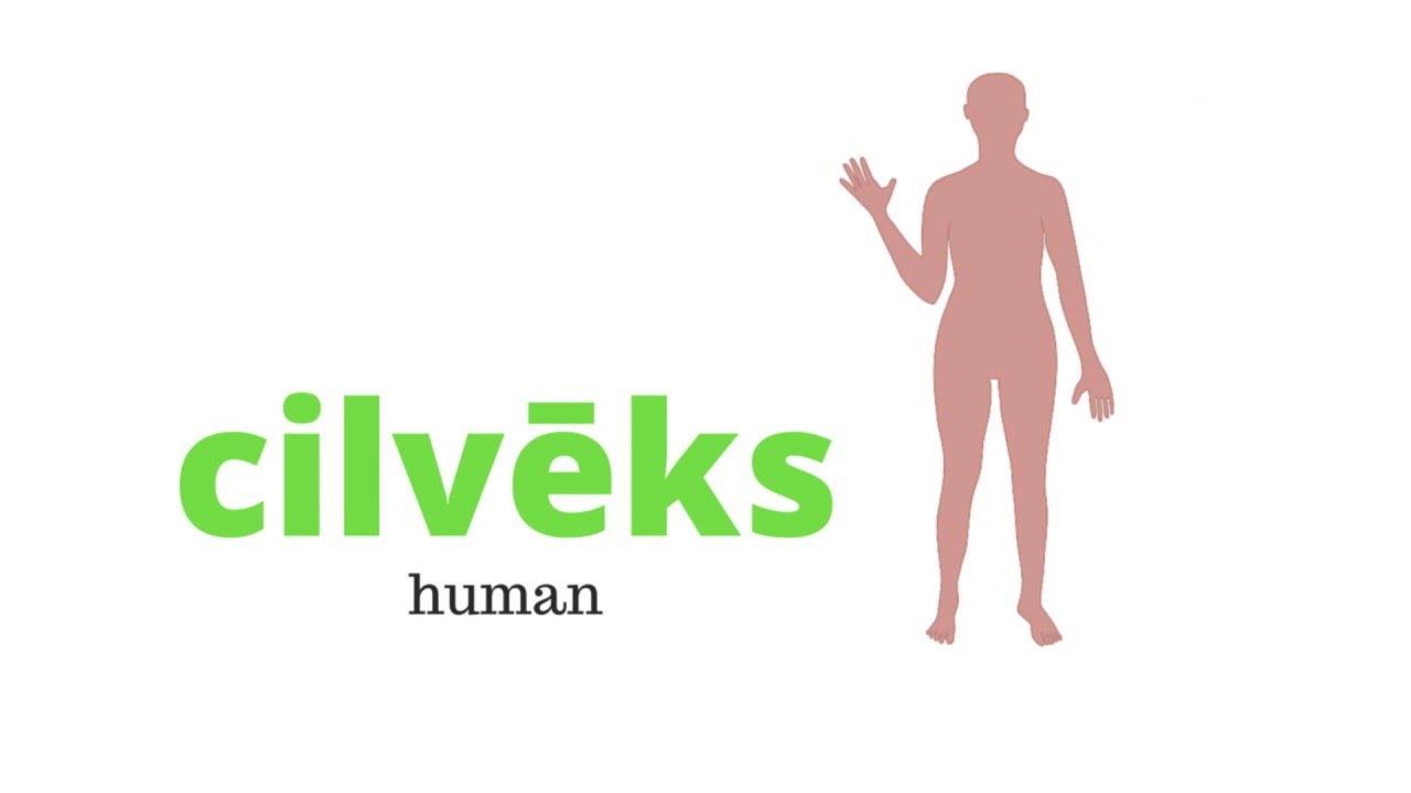 Learn Latvian - DAY 10 (human body)