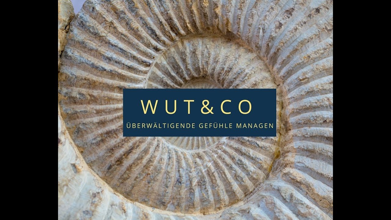 Kein Schreien, Brüllen und Ausrasten mehr!