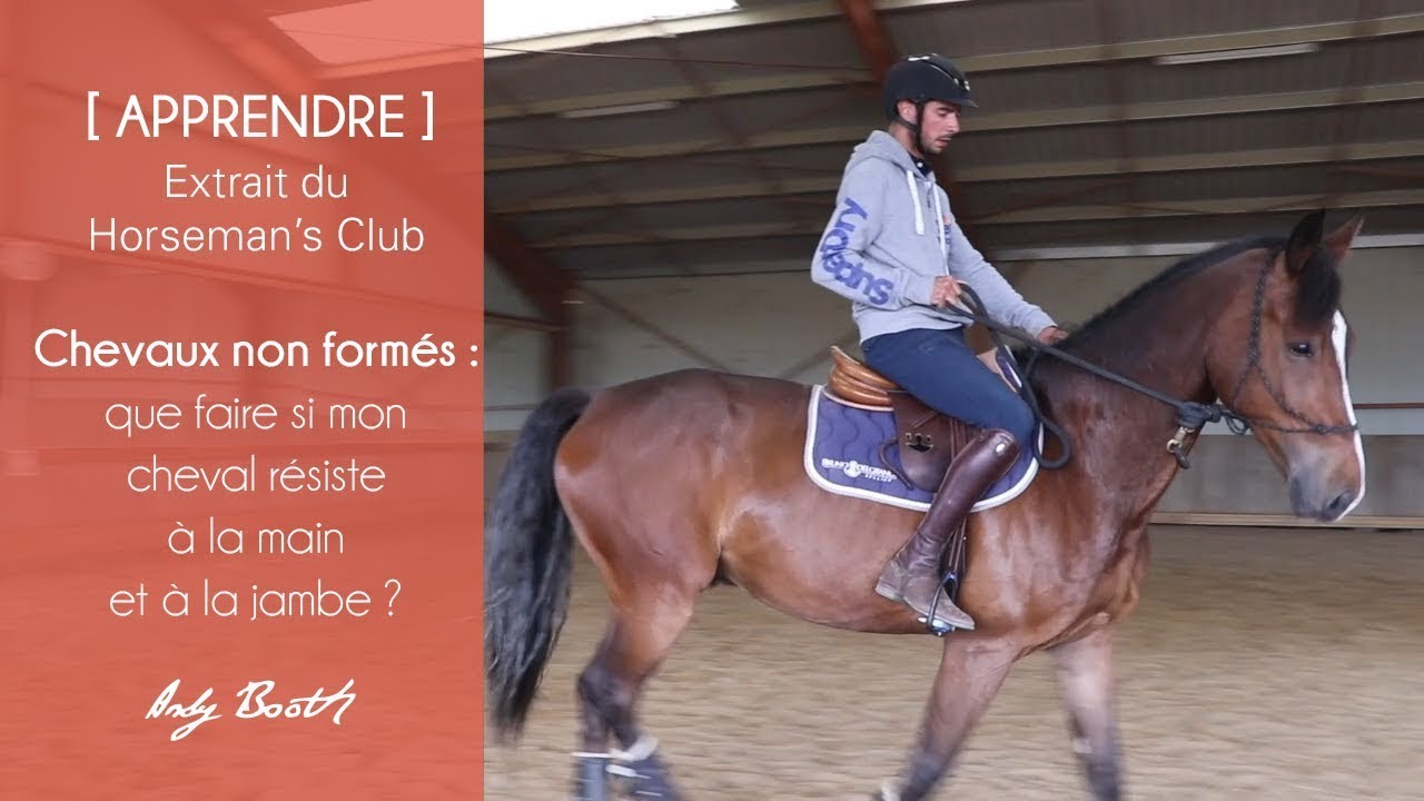 [APPRENDRE] Chevaux non formés : que faire si mon cheval résiste à la main ou à la jambe ?