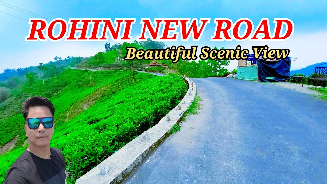 Rohini || Rohini New Road || Rohini Kothidara || Rohini Tea Garden || Siliguri to Rohini ||