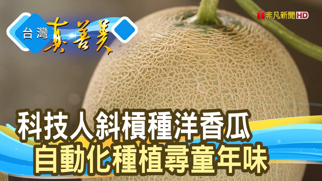 “科技種瓜”翻轉家鄉農業｜大合溫室｜【台灣真善美】2025.02.23