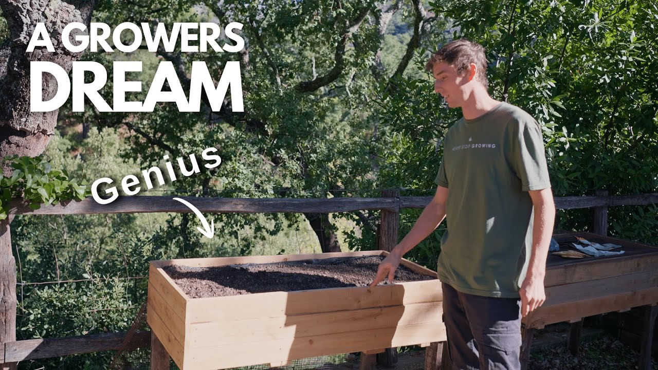 How I'm using Air Prune beds to grow healthier fruit trees