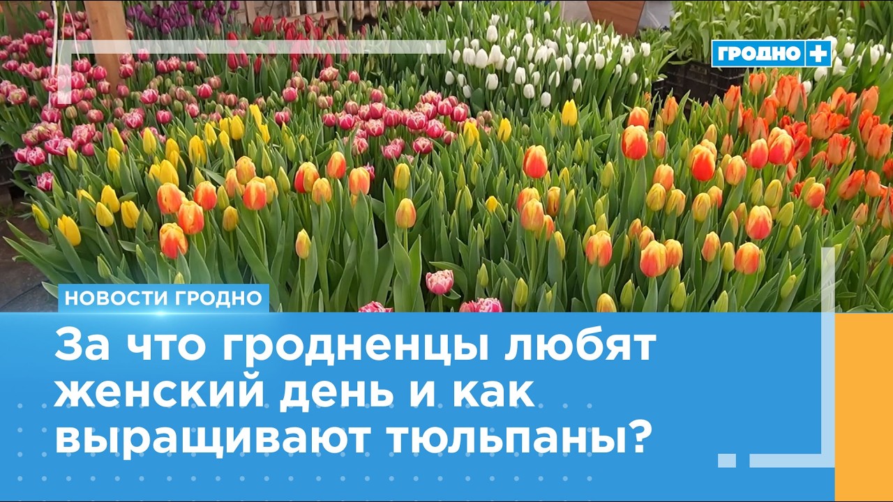 Гродненщина погрузилась в атмосферу 8 Марта
