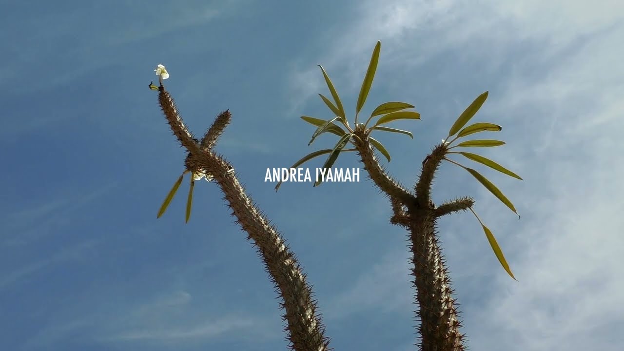 ANDREA IYAMAH SPRING SUMMER 23