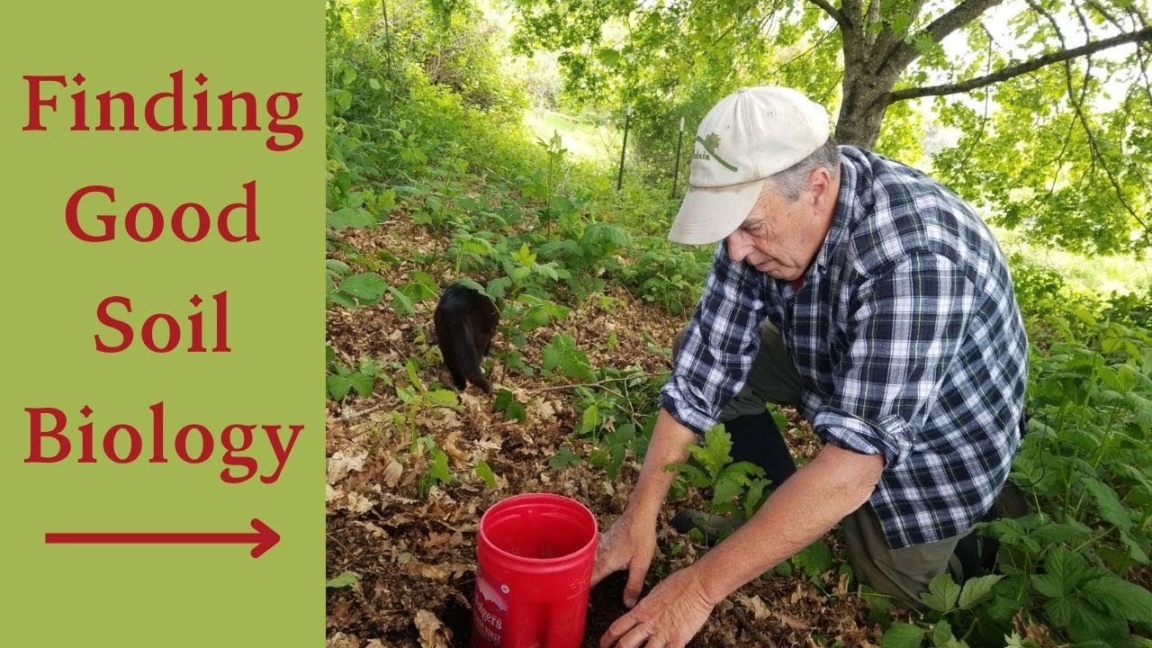 Finding Good Soil Biology