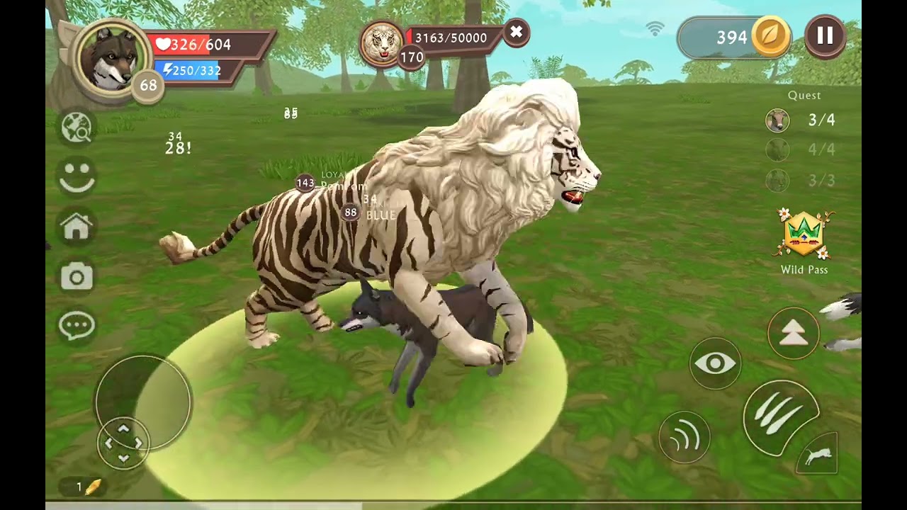 Playing with loyal 