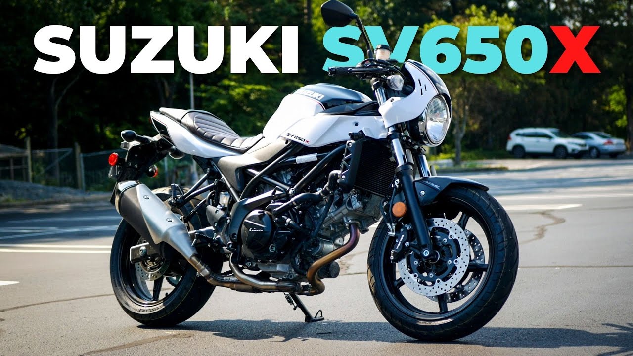 Suzuki SV650X 2019 года — Обзор — rideXdrive