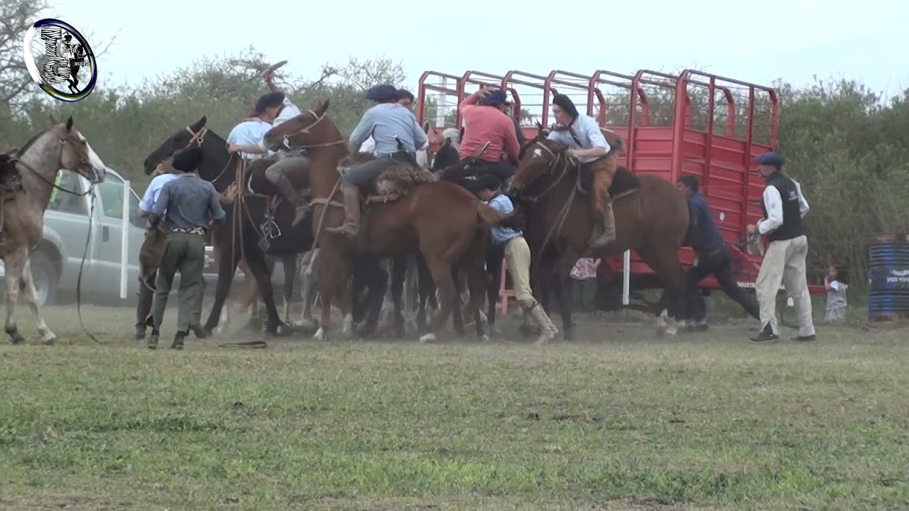 Campereada de apadrinadores en jineteada en Crucesitas Séptima Nogoyá (Entre Rios)