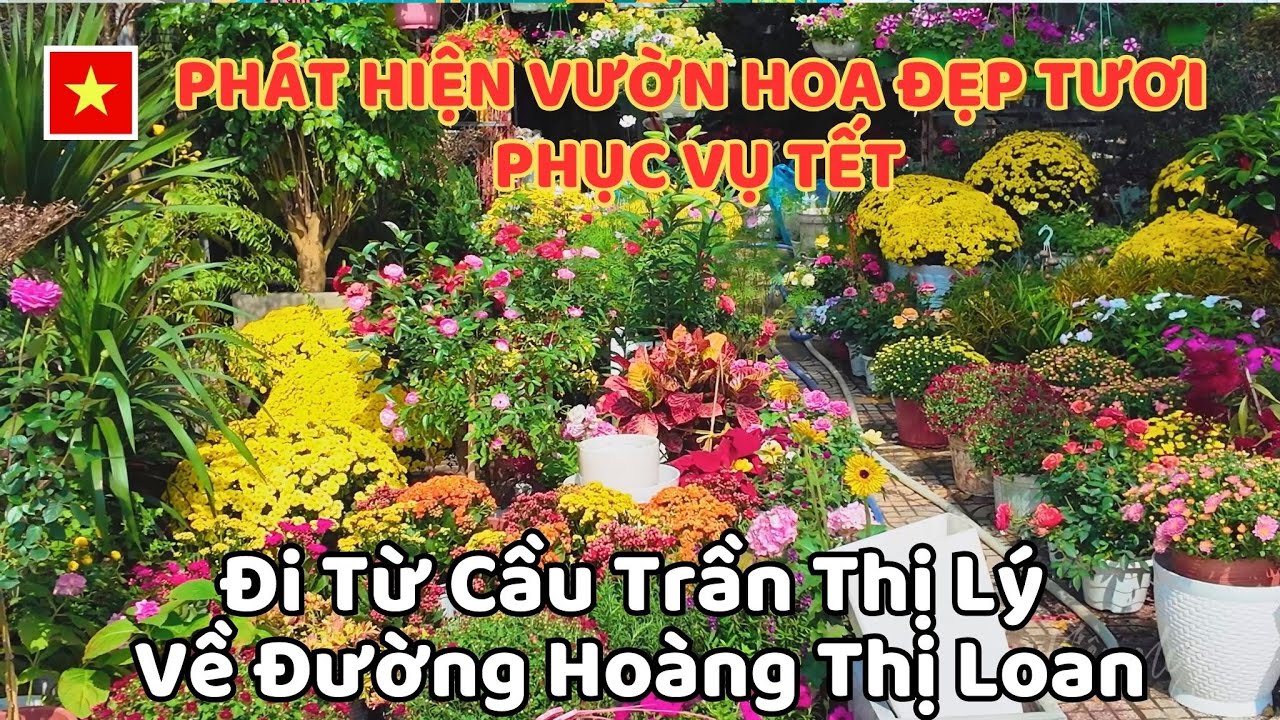 Đi Từ Cầu Trần Thị Lý Về Đường Hoàng Thị Loan , Phát Hiện Vườn Hoa Đẹp Tươi Phục Vụ TếT