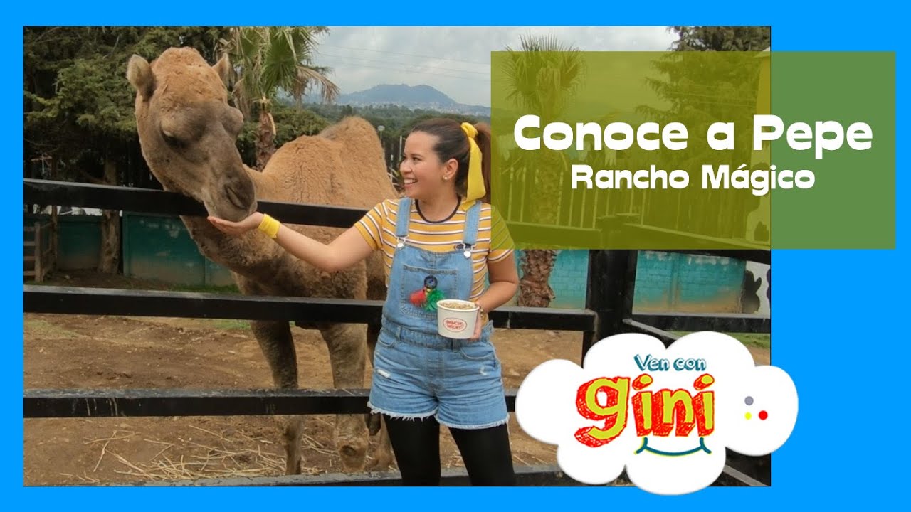 Rancho Mágico / Dromedarios / Tortuga Africana / Cómo llegar a Rancho Mágico