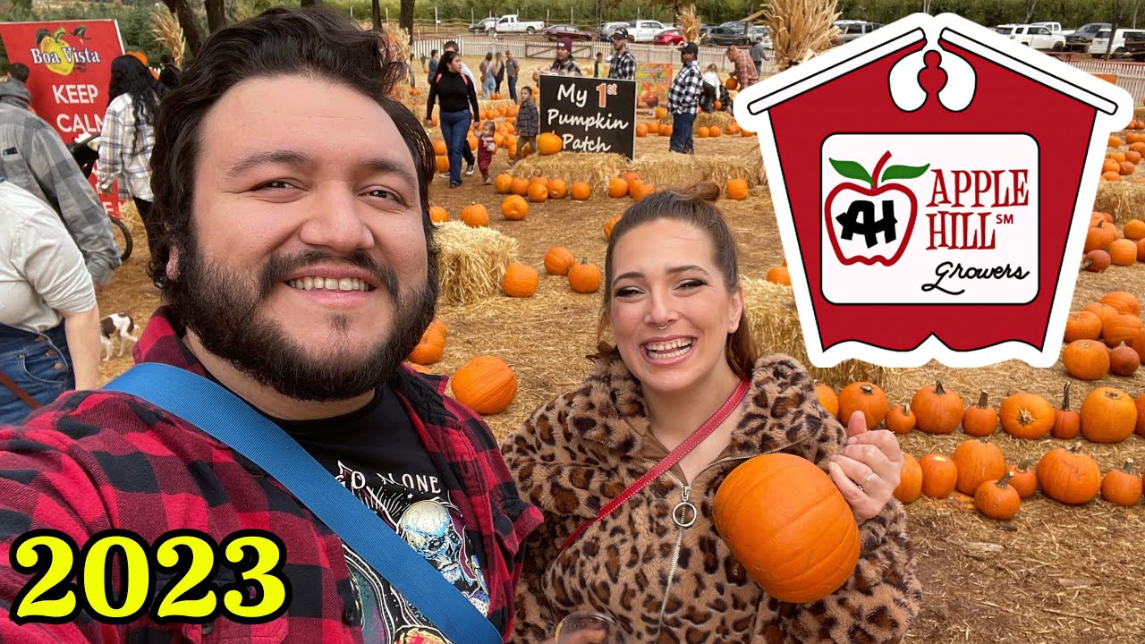 Apple Hill 2023! Placerville, CA, Boa Vista, High Hill Ranch, Larsen Barn, Jack Russell Farm Brewery