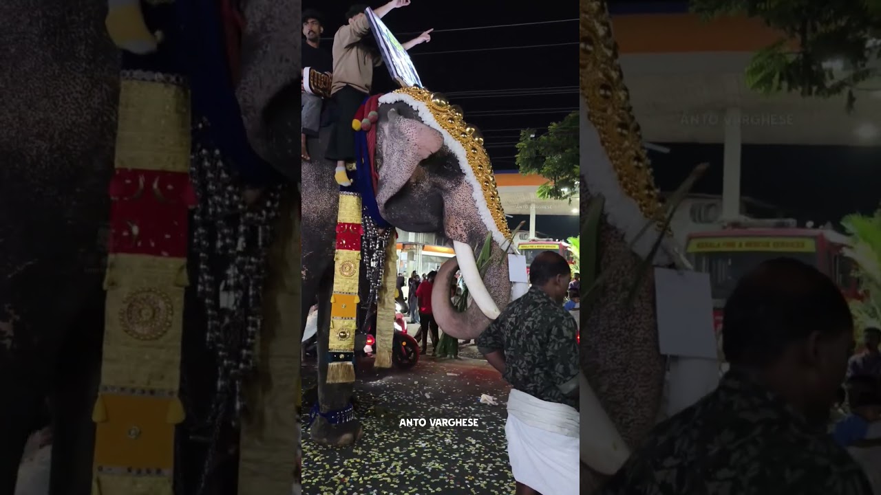 Ithithanam Vishnunarayanan Elephant 🔥 Koottanad Nercha 2026 #elephant #vishnunarayanan #nercha