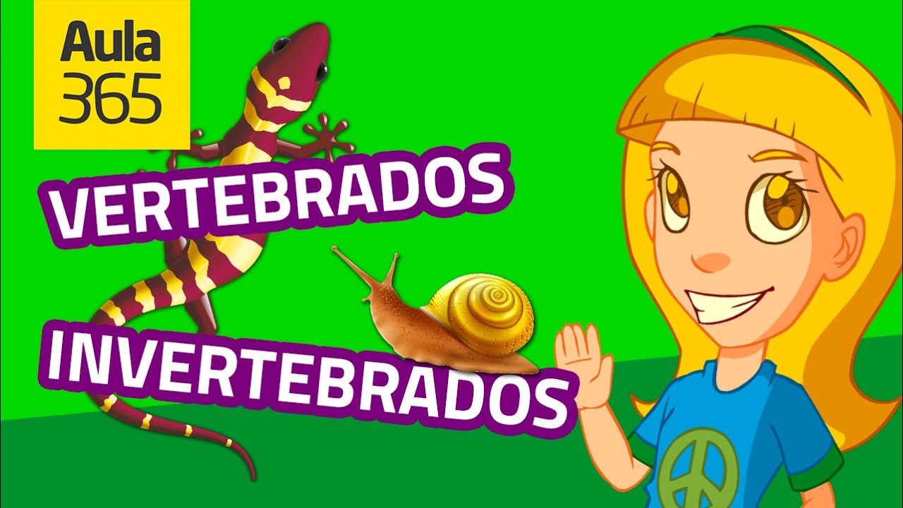 Animales Vertebrados e Invertebrados (Parte 1) | Videos Educativos Aula365