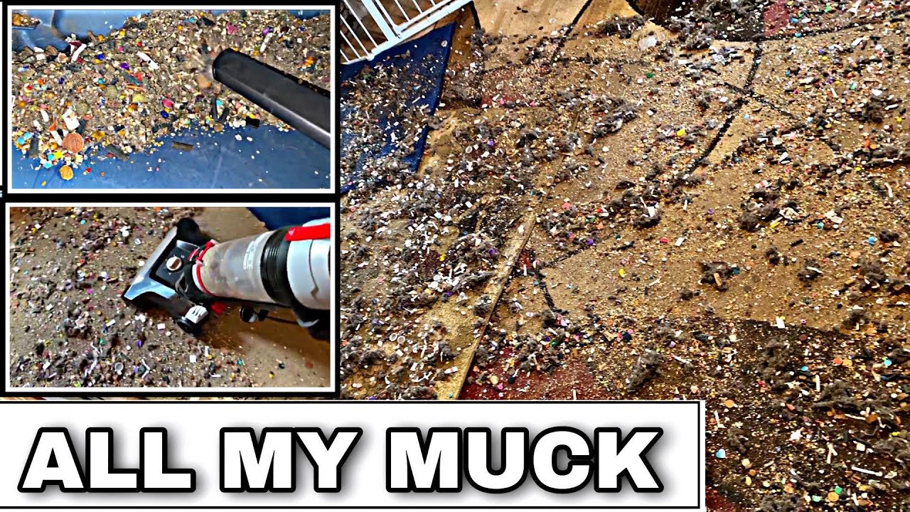 All My Muck Epic Mess Test 😱🤩