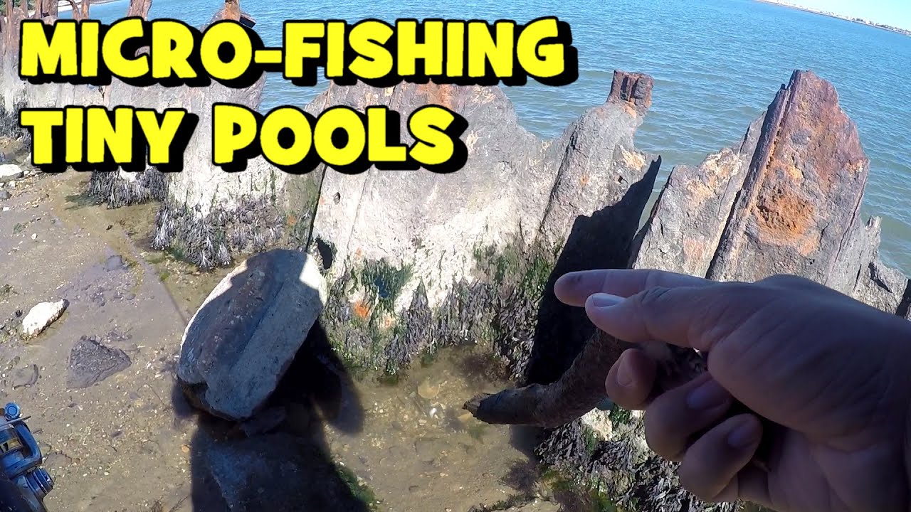 MICRO-FISHING the Absecon Bay...!!! (NEW SPECIES Alert)