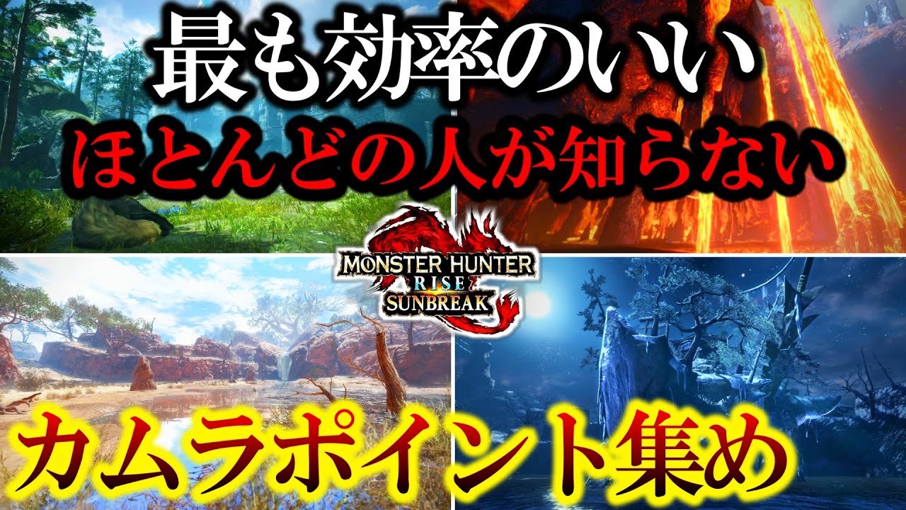 【最新版カムラポイント最効率爆増法‼️】が稼ぎすぎて凄い...【モンハンサンブレイク】
