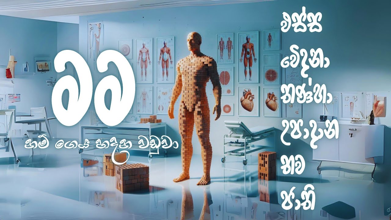 මගේ උපත නොදුටු 'මම' #නිවන්_මග_සිහියෙන්