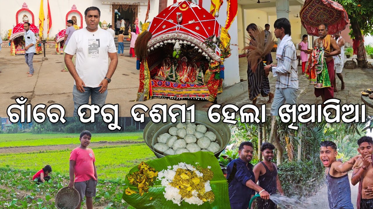 ଗାଁରେ ଫଗୁ ଦଶମୀ ଖିଆପିଆ 😋 ଧନର ଚାଷ l ମାମା ହେଲେ ଅସୁସ୍ଥ l Phagu Dashami l Gouranga Nayak Odia Vlogs 