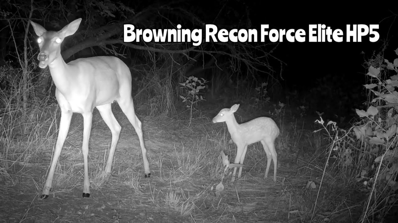 Browning Recon Force Elite HP5 Trail Camera June 14-21, 2024