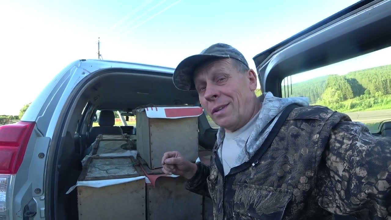 ПРОВЕРКА ЛОВУШЕК ДЛЯ ПОИМКИ БРОДЯЧИХ РОЁВ, РЕЗУЛЬТАТ ПОРАДОВАЛ