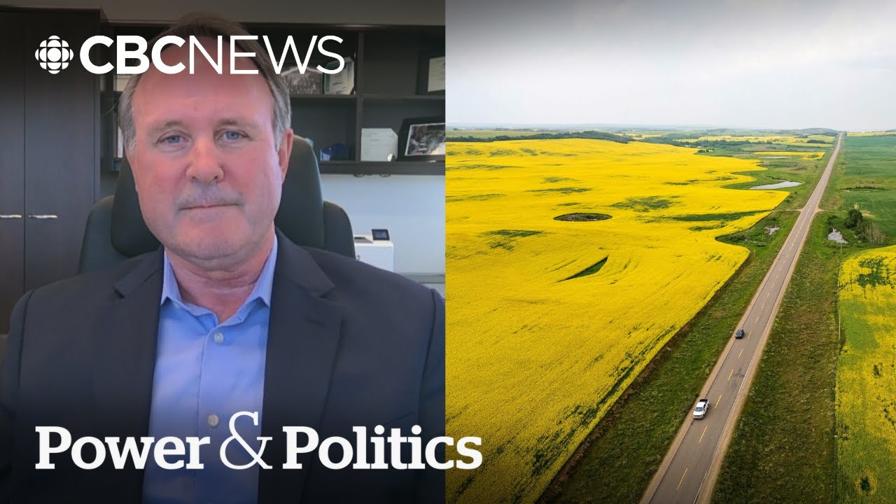 China imposes a new 75.8% tariff on Canadian canola seed imports | Power & Politics