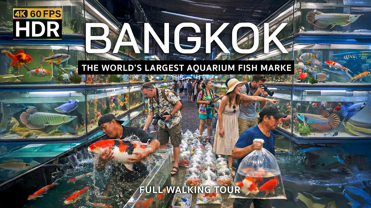 🇹🇭 4K HDR | Inside The World&rsquo;s LARGEST Aquarium Fish Market! | Chatuchak Fish Market Bangkok