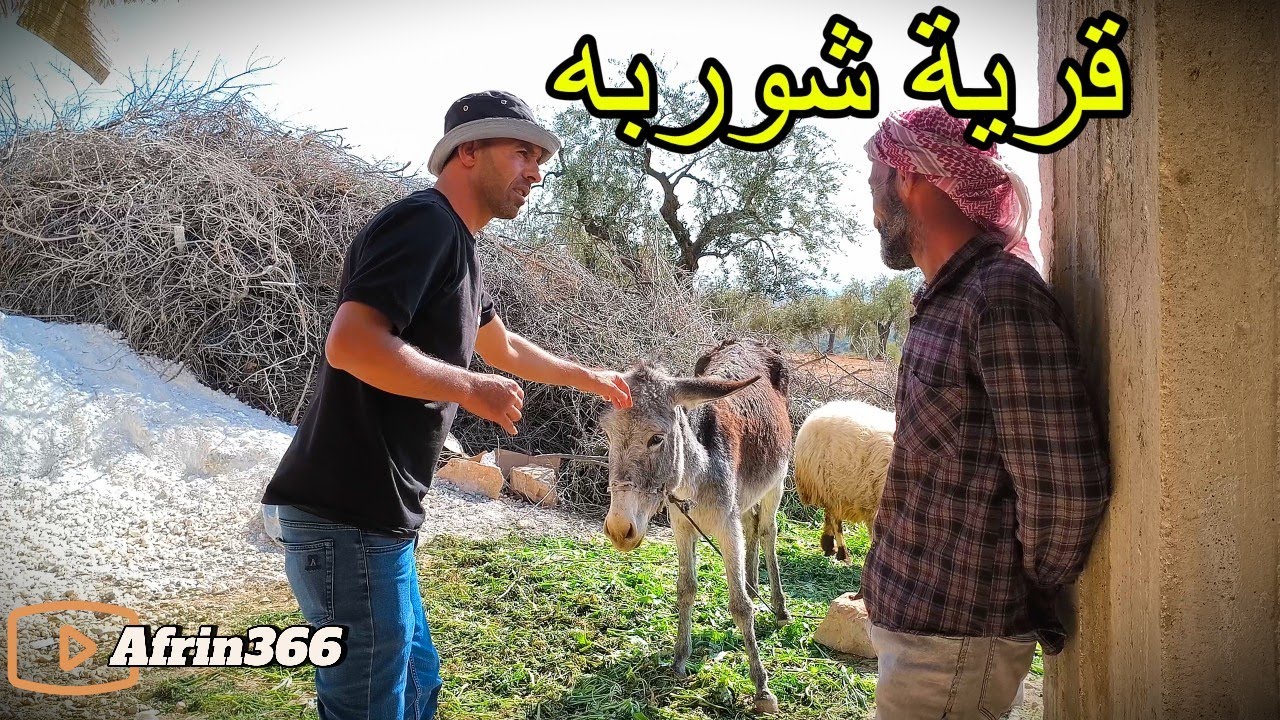 ضيعة شوربه الحلوه ناحية معبطلي - Gundê Şorbe Efrîn