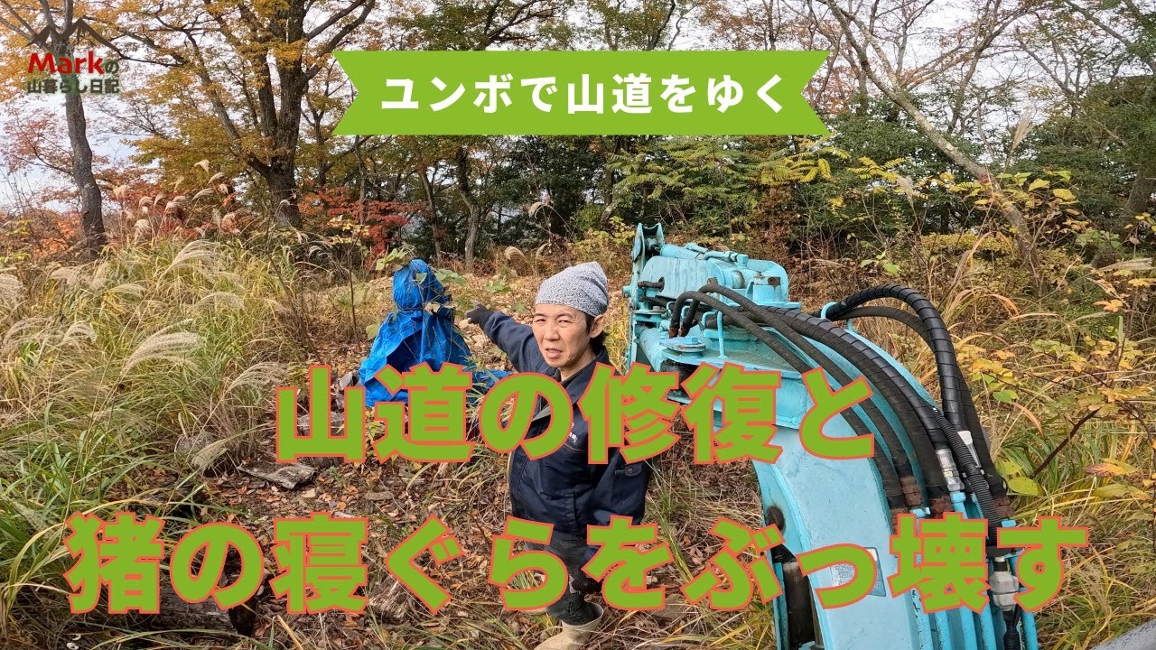 （再アップ）雨と猪に破壊された山道の修復と猪のねぐらぶっ壊す