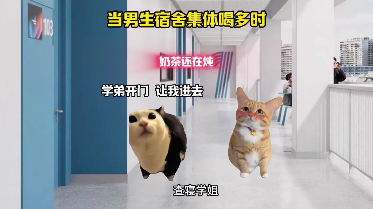 当宿舍里面所有人喝多了 #猫meme #猫meme小剧场 #猫meme剧场 #内容过于真实  #搞笑