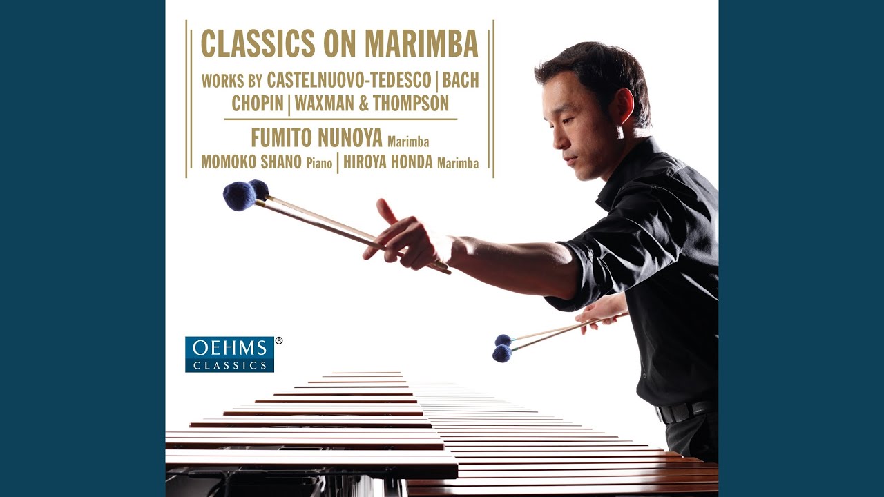 Violin Partita No. 2 in D Minor, BWV 100: V. Chaconne (arr. Fumito Nunoya for marimba)