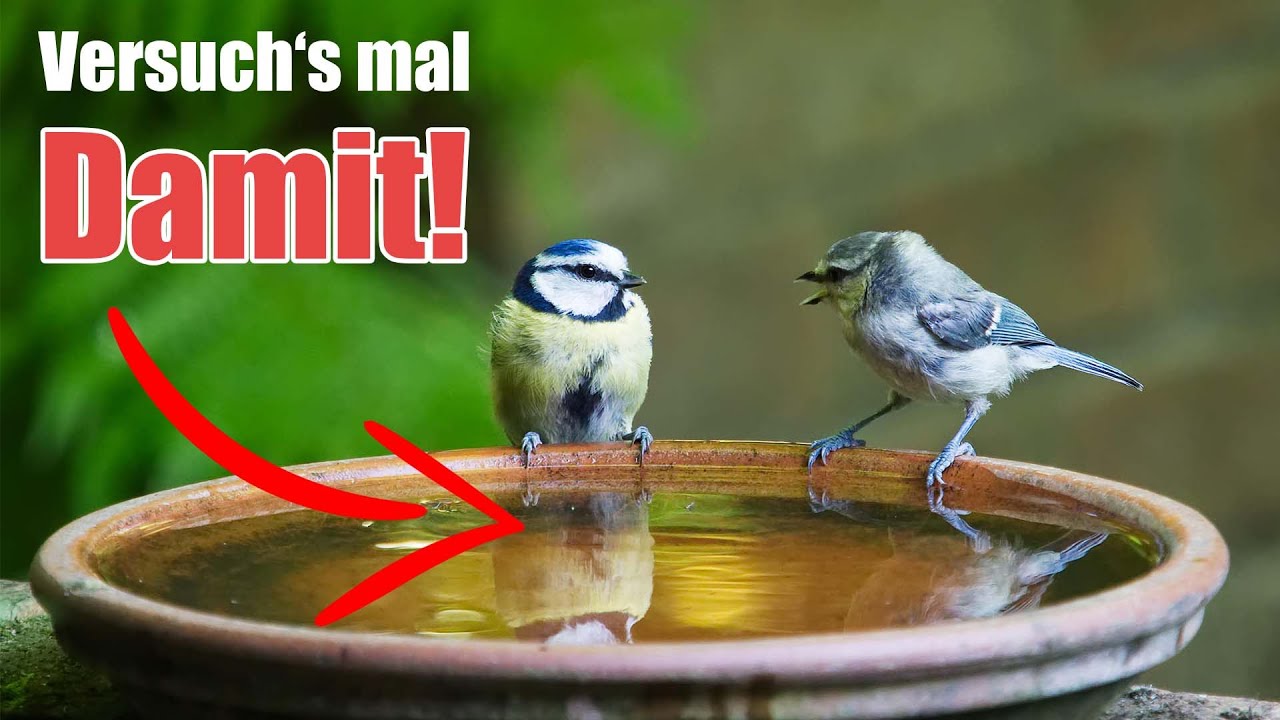 7 Tipps f&uuml;r einen naturfreundlichen Garten