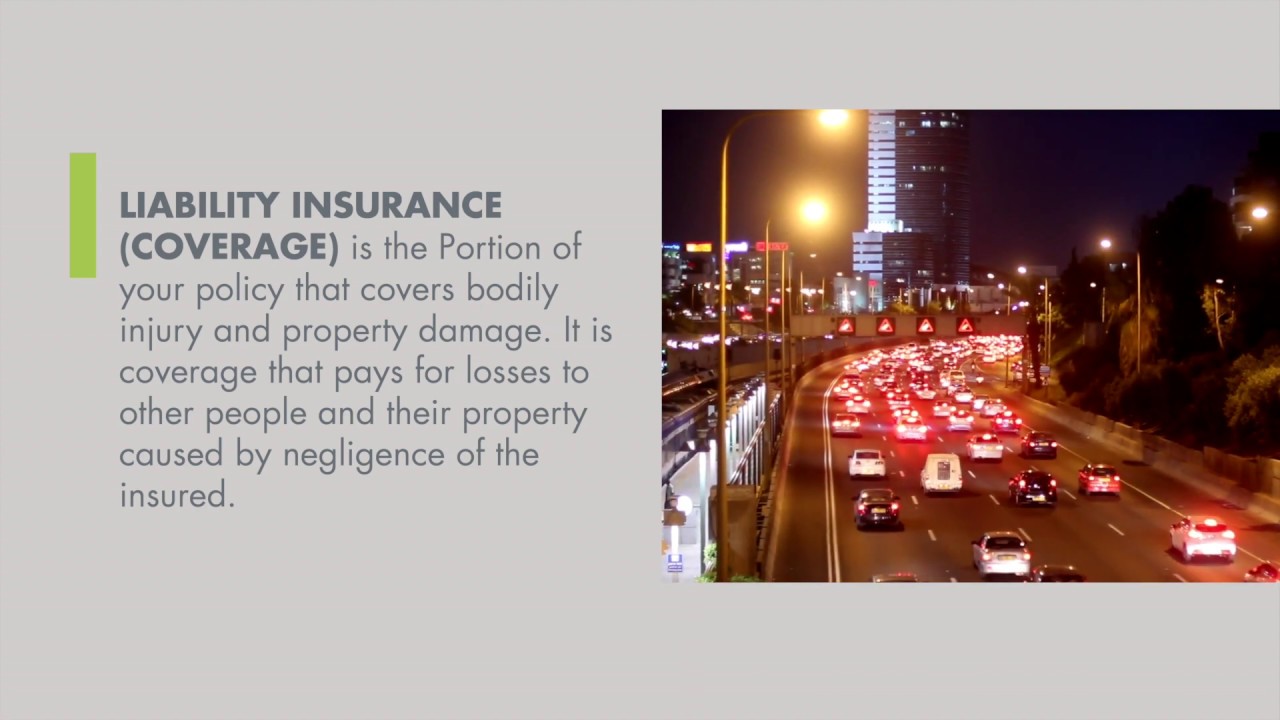 Liability // Michigan No Fault Insurance Reform