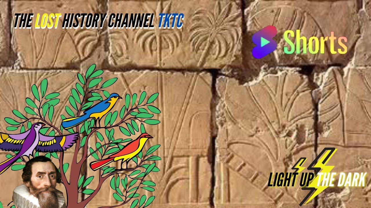 Ancient Egypt and the Mysterious Land of Punt #shorts