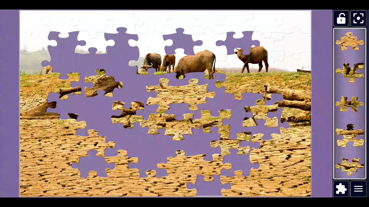 Herd of Cows Walking on River 🐄 | Global Warming & El Niño Effect | Extreme Jigsaw Puzzle Challenge 