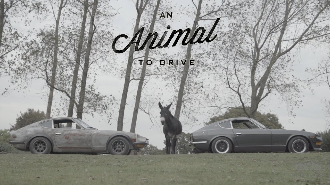These Datsun 240Zs Are Animals to Drive