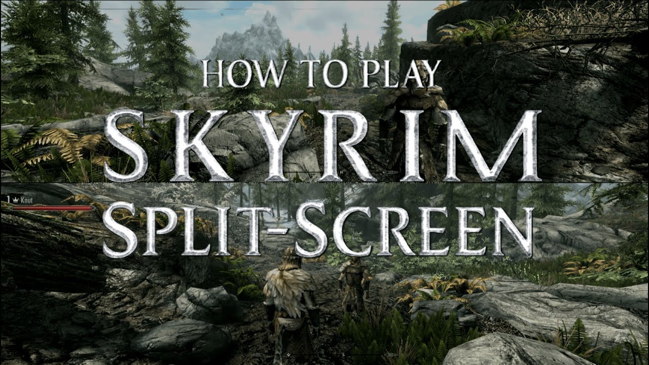 How To Play Skyrim Split-Screen! (PC)