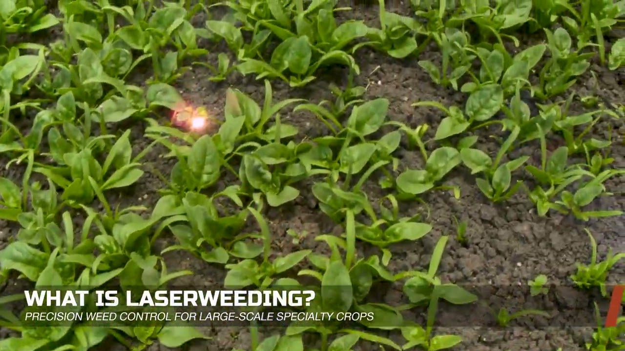 LaserWeeder by Carbon Robotics