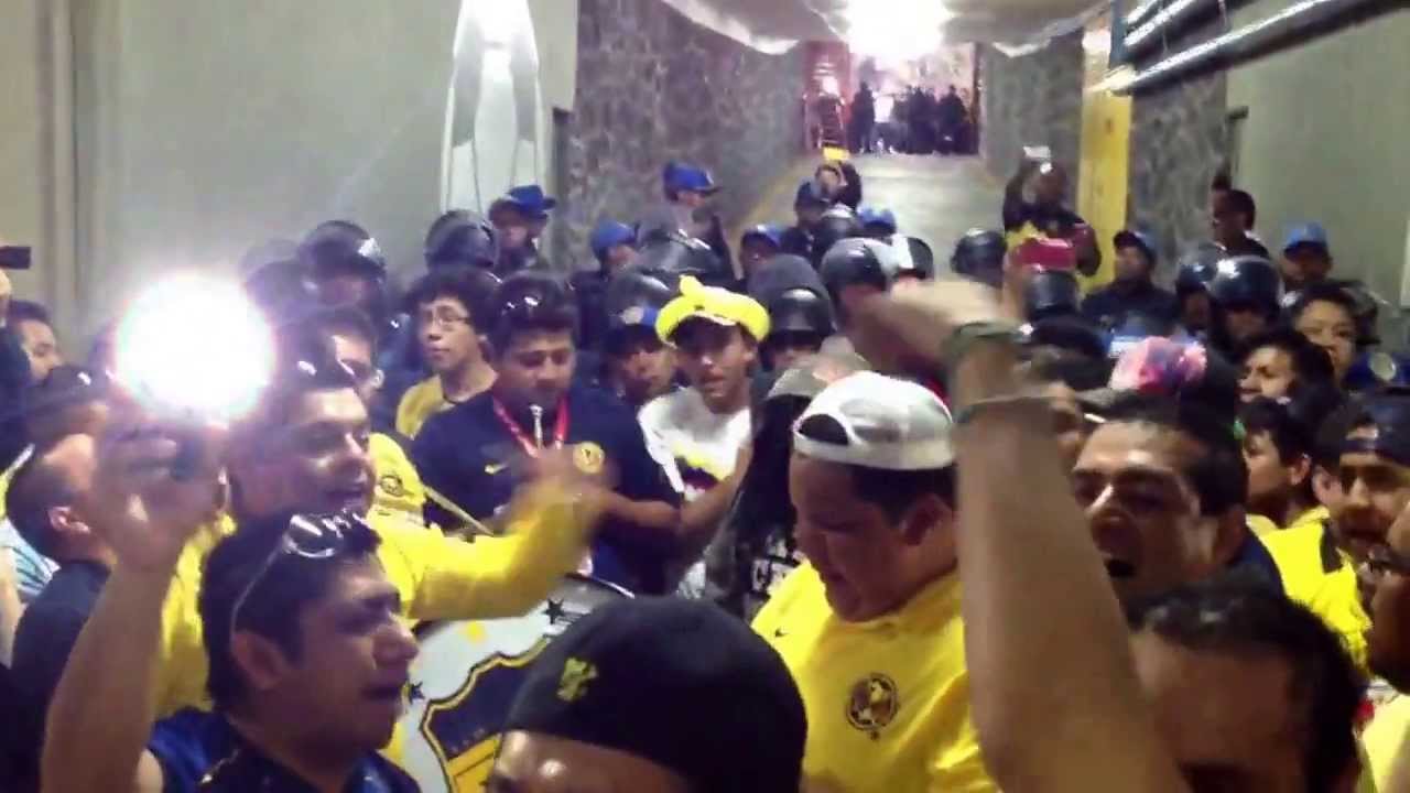 Señores yo soy del azulkrema, somos orgullo nacional.....!!